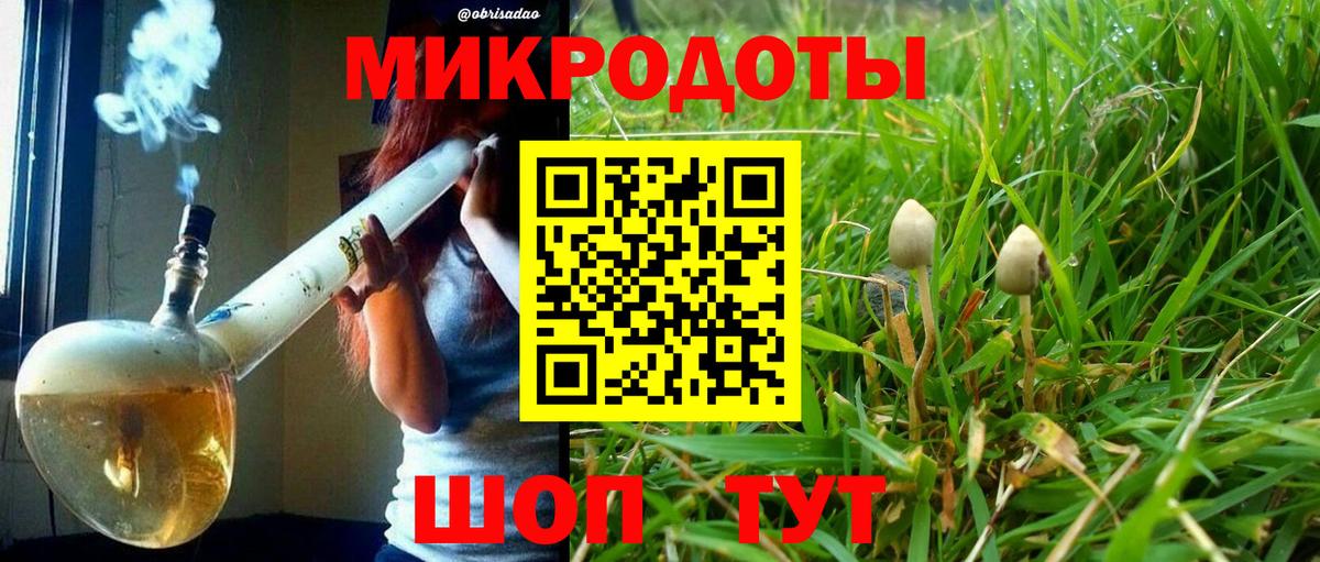 Псилоцибиновые грибы Psilocybine cubensis Рубцовск